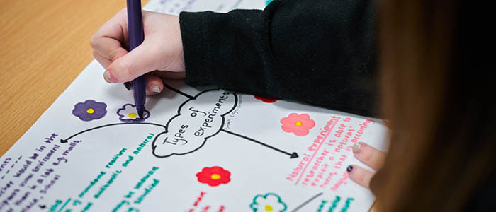 psychology student drawing a mind map