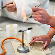 Bunsen burner and hands